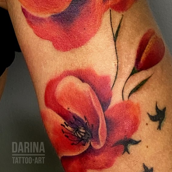 Darina Art